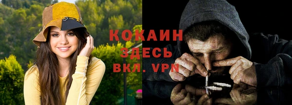 молекула духа Волосово