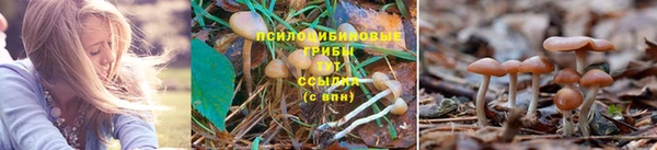герыч Волоколамск
